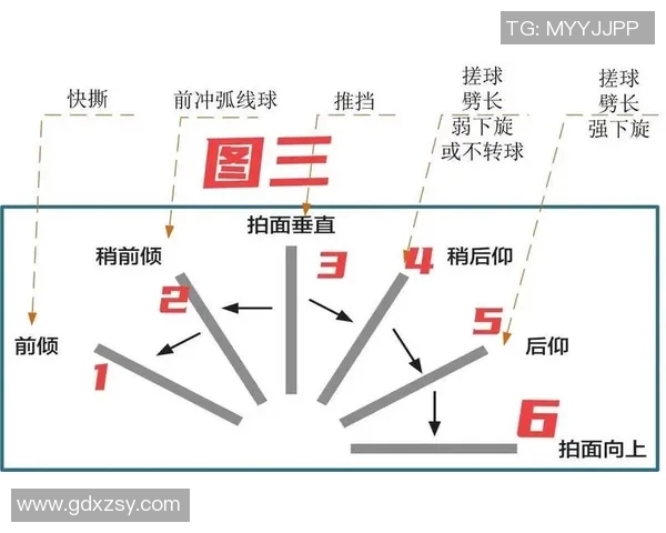 乒乓球传奇揭秘:深入上海乒乓球队的比赛策略与经验分享 乒乓球传奇揭秘:深入上海乒乓球队的比赛策略与经验分享