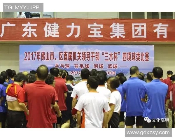 广州乒乓球队总决赛精彩表现分析与技术亮点总结