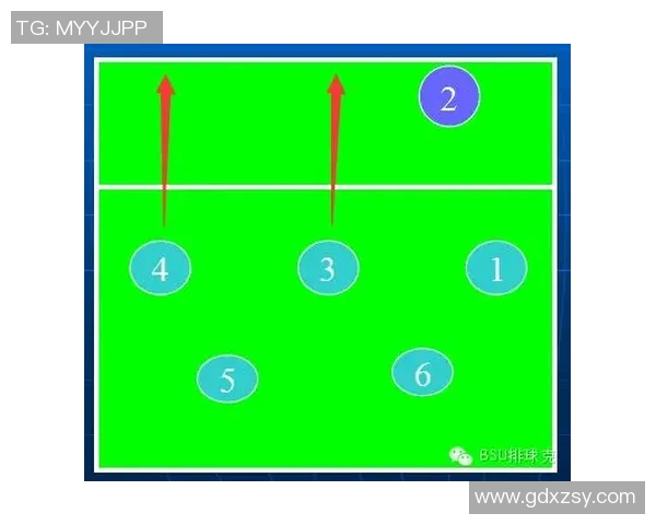 广州排球队中路突破战术解析与实战应用研究 广州排球队中路突破战术解析与实战应用研究