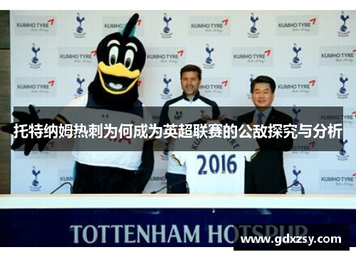 托特纳姆热刺为何成为英超联赛的公敌探究与分析