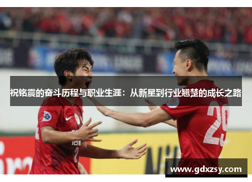 祝铭震的奋斗历程与职业生涯：从新星到行业翘楚的成长之路